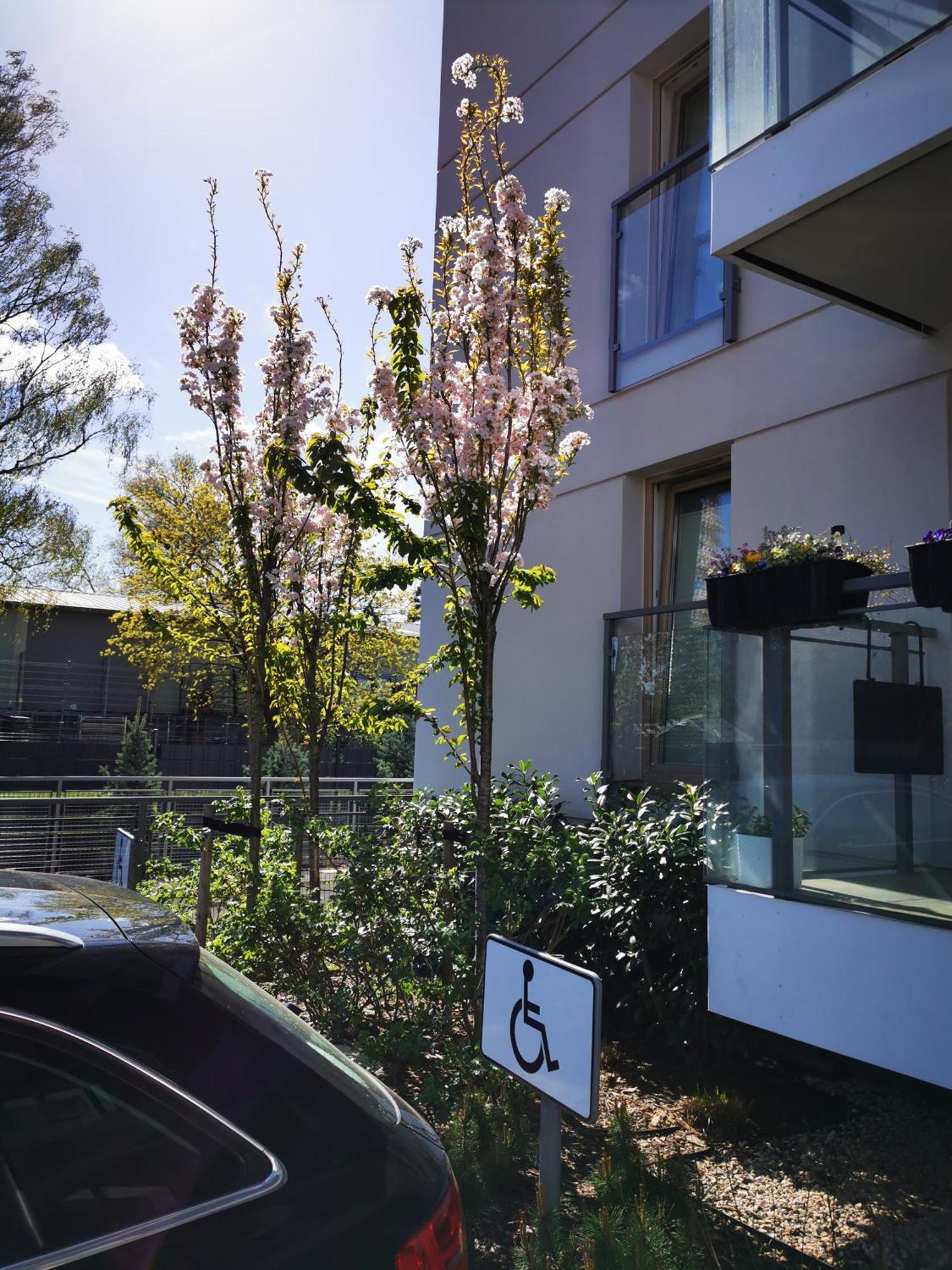 Fajne Miejsce Apartment Swinoujscie